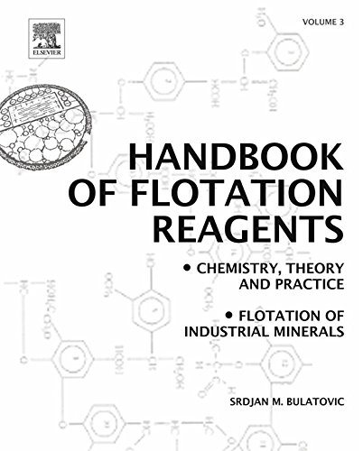 Handbook of Flotation Reagents: Chemistry, Theory and Practice: Volume 3: Flotation of Industrial Minerals (English Edition)