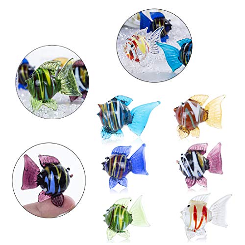 HDCRYSTALGIFTS - Juego de 6 adornos de cristal hechos a mano, vidrio, Peces tropicales