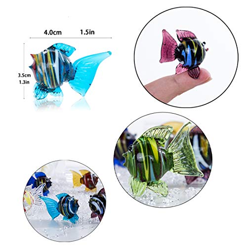 HDCRYSTALGIFTS - Juego de 6 adornos de cristal hechos a mano, vidrio, Peces tropicales