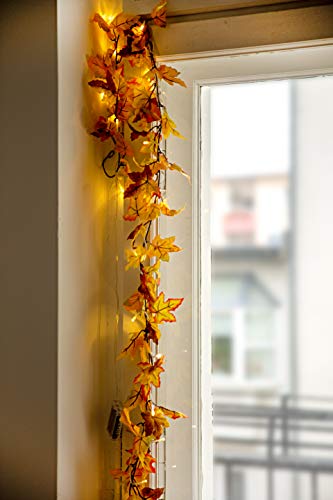 HEITMANN DECO - Guirnalda eléctrica con Hojas de Arce - Guirnalda Decorativa de otoño con 20 Leds - a Pilas; para Uso en Interiores