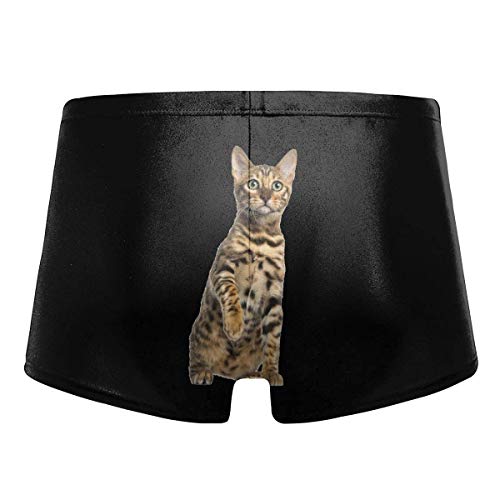 HKKH Gato de Bengala de Aspecto Salvaje Trajes de baño para Hombres Bañador Largo básico Bóxer Boxers Shorts de baño Trajes de baño