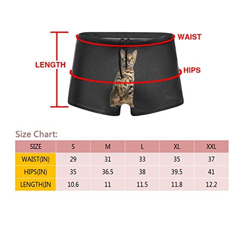 HKKH Gato de Bengala de Aspecto Salvaje Trajes de baño para Hombres Bañador Largo básico Bóxer Boxers Shorts de baño Trajes de baño