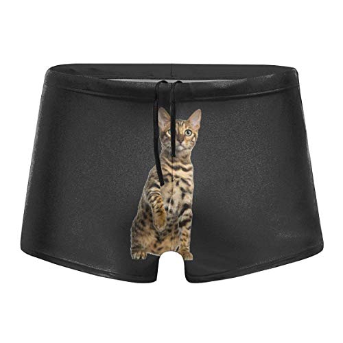 HKKH Gato de Bengala de Aspecto Salvaje Trajes de baño para Hombres Bañador Largo básico Bóxer Boxers Shorts de baño Trajes de baño