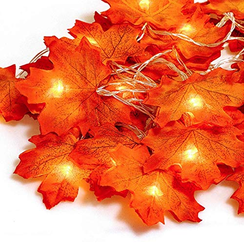 Hojas de otoño, Ainkedin guirnalda otoño, 20 luces led decoracion, Luces decoracion halloween, Adornos navidad, Guirnaldas decoracion pared plantas artificiales decoracion Escalera decorativa