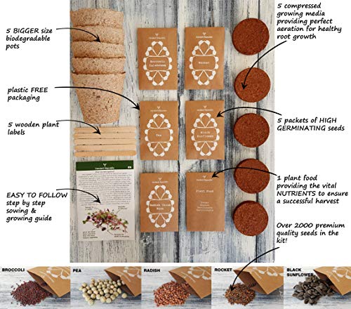 Huerta Clásica Kit de Cultivo de MICROGREENS para Cultivar tus Propios SUPERALIMENTOS | Set de Jardinería con Semillas Germinadas Saludables para Cosechar los Brotes de Verduras en 2 Semanas