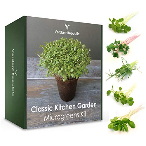 Huerta Clásica Kit de Cultivo de MICROGREENS para Cultivar tus Propios SUPERALIMENTOS | Set de Jardinería con Semillas Germinadas Saludables para Cosechar los Brotes de Verduras en 2 Semanas