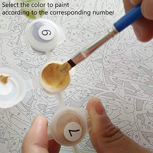Hxfhxf DIY pintura al óleo pintura por números kit para adultos principiantes animales coloridos pintura sobre lienzo crisantemo y arándano 40X50CM