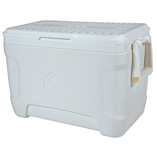 Igloo Nevera portátil Marine Contour 23 litros Pesca, Camping-Deportes, Blanco, 51x26x33