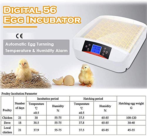 Incubadora Automática de 56 Huevos con Pantalla Digital, Control Eficiente e Inteligente de Temperatura y Humedad Fácil Manipulación