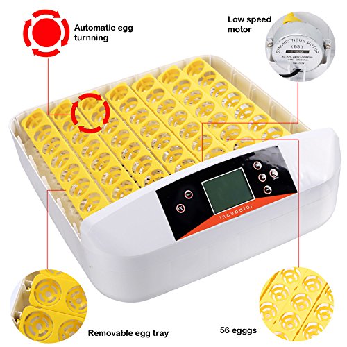 Incubadora Automática de 56 Huevos con Pantalla Digital, Control Eficiente e Inteligente de Temperatura y Humedad Fácil Manipulación