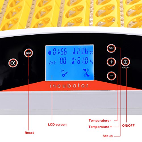 Incubadora Automática de 56 Huevos con Pantalla Digital, Control Eficiente e Inteligente de Temperatura y Humedad Fácil Manipulación