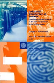 Industrial Democracy as Process: Participatory Action in the Fagor Cooperative Group of Mondragon (Social science for social action: toward organizational renewal)