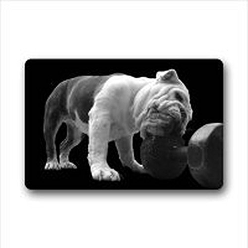 Jhonangel Linda Puerta de poliéster Bulldog inglés/Felpudo Lavable para Exteriores tapete para Puerta 40 x 60 cmindoor/Outdoor baño Cocina decoración Alfombra 40 x 60 cmindoor/Outdoor