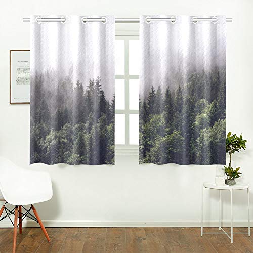 JOCHUAN Pista de la montaña boscosa Nubes Bajas Mobiliario de Cocina Cortinas Cortinas para Ventanas Cafetería, baño, lavandería, Sala de Estar Dormitorio 26X39 Pulgadas 2 Piezas