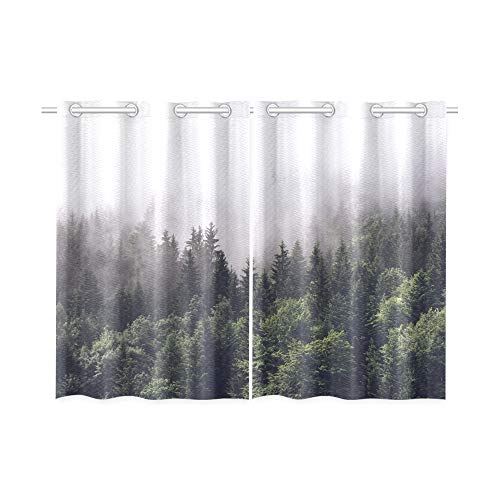 JOCHUAN Pista de la montaña boscosa Nubes Bajas Mobiliario de Cocina Cortinas Cortinas para Ventanas Cafetería, baño, lavandería, Sala de Estar Dormitorio 26X39 Pulgadas 2 Piezas