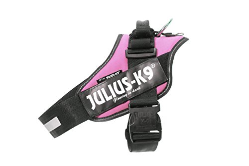 Julius-K9 16IDC - Power Harness