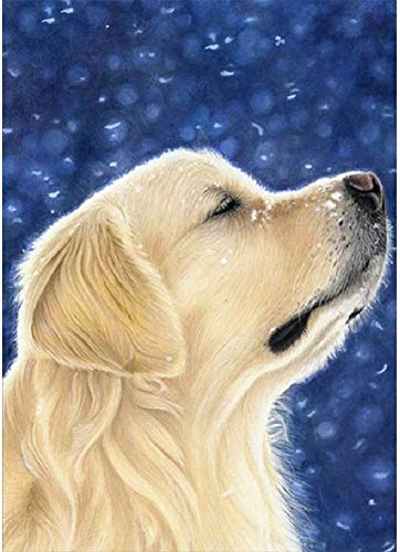 Kit de pintura de diamante redondo 5D para adultos con diseño de perro de Golden Retriever para decoración de pared (40 x 50 cm)