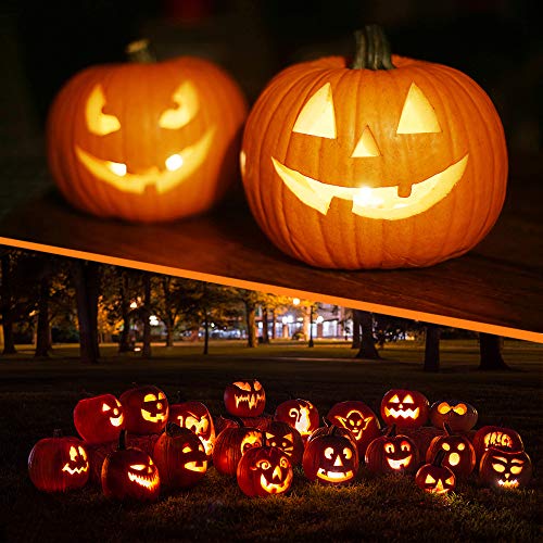 Kit de Talla de Calabaza de Halloween 6 Piezas con 4 lámparas LED, Herramienta profesional de Corte de Calabaza para niños y adultos, Acero Inoxidable duradero, con Bolsa de Transporte y 10 Plantillas