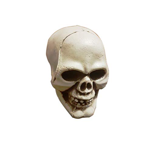 kungfu Mall 1PC Calavera de Halloween con 1pc White Spider Wed y 20pcs Arañas para Decoraciones de Fiesta de Halloween