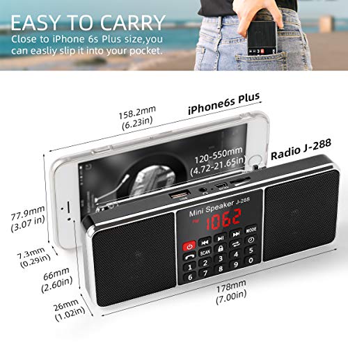 L-288 Radio portátil FM Am con Altavoz estéreo Bluetooth, Temporizador de Apagado, estación de Bloqueo, Tarjeta USB y TF y Reproductor de MP3 AUX, por PRUNUS(Noche)