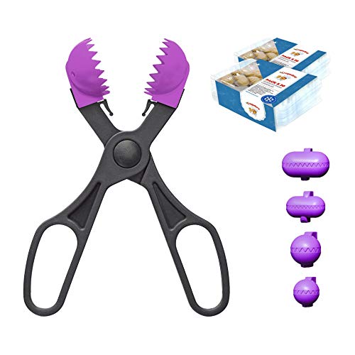 La Croquetera Pack- Utensilio Multiusos Color Morado - 4 moldes Intercambiables para masas + Pack 40 Bandejas conservación - 100% español : Patentado y Fabricado en España