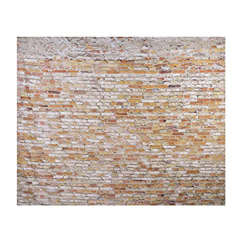 laamei Tapiz de Ladrillo Colgante de Pared 3D Realista Vintage Tapicería Estampado Piedra Fotomural Decoración de Hogar(230x180cm) (Ladrillo Marrón, 230cmx180cm)