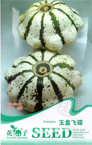 Las semillas de la herencia rara UFO Patty Pan de calabacín verde blanco de la raya de la calabaza de verano, paquete original, 8 semillas / paquete, calabazas ornamentales