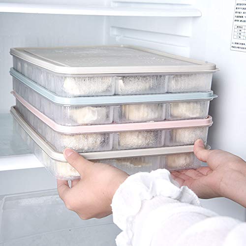 LD Caja de Almacenamiento de refrigerador de Caja de Bola de Masa hervida, Caja de Bola de Masa hervida congelada rápida de Cocina - Acabado de cuadrícula con Caja de Tapa,Gris,como se Muestra