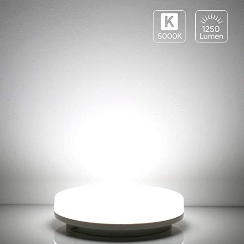 LE 15W Plafón LED Impermeable IP54 Super Brillante 1250LM 5000k Equivalente a 100W Lámpara Incandescente Lámpara LED de Techo Luz de Techo Blanco Frío Ideal para Sala de Estar, Cocina, Balcón, Baño