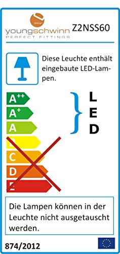 LED Base de vidrio, iluminación lámpara LED, estantería, armario iluminación, 2 unidades) incl. ranuras Transformador, color blanco frío, 2 x 0,24 W, 12 V