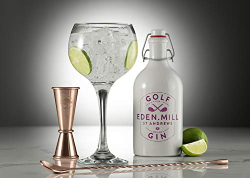 Lillywhite & Brown - Juego de 2 vasos de ginebra con doble cara y cuchara para cóctel. Copa de Balon G&T Gin Glass (560 ml) con caja de regalo, edición de cobre