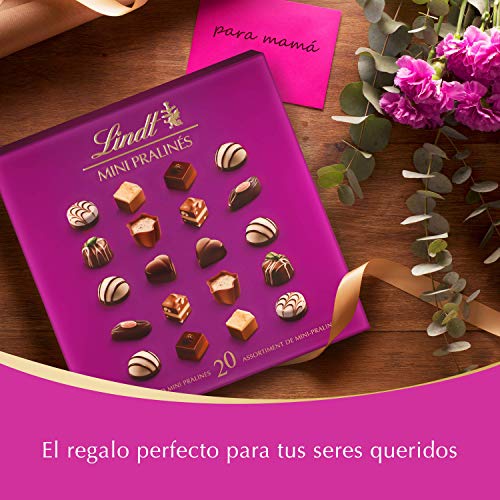 Lindt Mini Pralines – Caja de bombones surtidos, 100 g