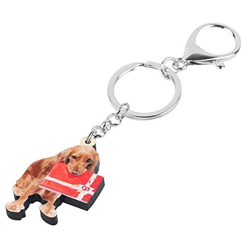 Llaveros Caja De Regalo De Perro Golden Retriever De Acrílico Llavero Animal Llaveros Bolsa Bolso De Coche Decoraciones Mujeres Niñas Regalo