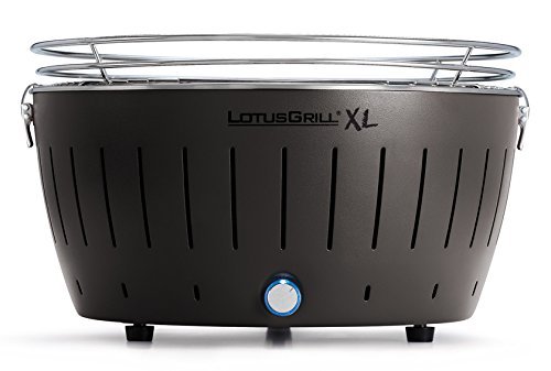 LotusGrill XL Juego de inicio 1x Gris Antracita 1x Carbón Madera haya 1 kg, 1x Pasta Quemar 200ml, 1xmarinierpinsel ROJO FUEGO, 1x agitador aliñado, 1x Bolsa transporte - LIBRE HUMO Asador a vegetal /