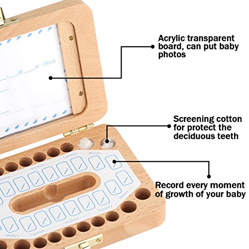 Luchild caja dientes leche, Caja para guardar dientes para niños y niñas, Regalo para niños en madera de souvenir, Acumulación de dientes - Inglés