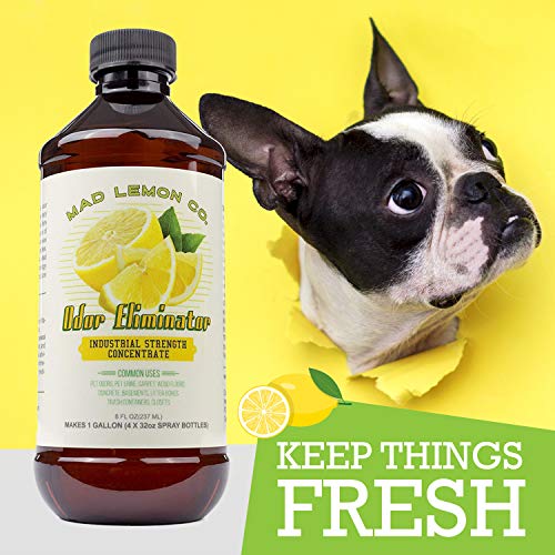 Mad Lemon Pet Odor Eliminator and Neutralizer - Industrial Strength 8oz Concentrate - Makes 1 Gallon - Great for Cat & Dog Odors, Urine, Carpet, Dead Rodent Odor, Mouse, Rat, Sewer, Garbage, Trash Can