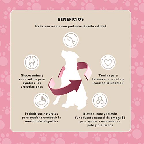 Marca Amazon - Lifelong Complete- Alimento seco completo para perros perros adultos con salmón y arroz, 1 x 15 kg