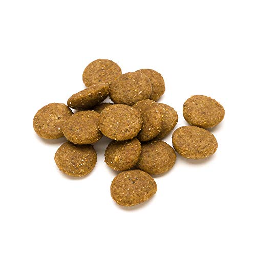 Marca Amazon - Lifelong Complete- Alimento seco completo para perros perros adultos con salmón y arroz, 1 x 15 kg