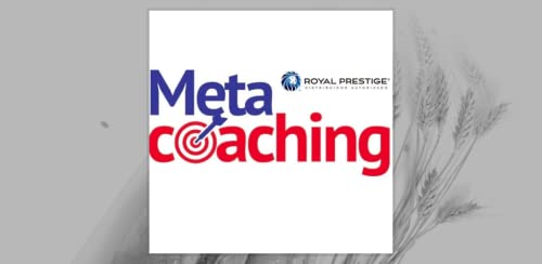 Metacoaching