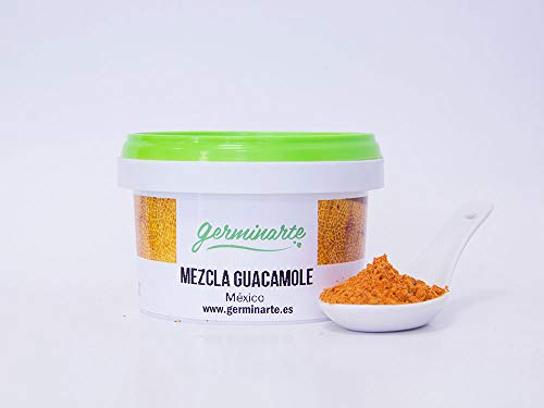 MEZCLA GUACAMOLE (100gr.) | Calidad gourmet | Mezclas de especias