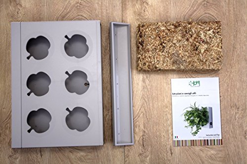 Mini Jardin Vertical Beige para 6 Plantas con Sustrato Natural Premium e Instrucciones. Cuadro Vegetal, Maceta de Pared, Maceta para Colgar.