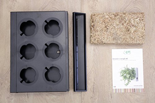 Mini Jardin Vertical Negro para 6 Plantas con Sustrato Natural Premium e Instrucciones. Cuadro Vegetal, Maceta de Pared, Maceta para Colgar.