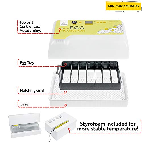 MINICHICK Incubadora de 9-30 Huevos Gallina Automática con Termostato y Pantalla. Control Temperatura y Humedad: Ovoscopio, Criadora Pollitos, Corral, Calendario y Guía Completa en Español (IVA incl.)