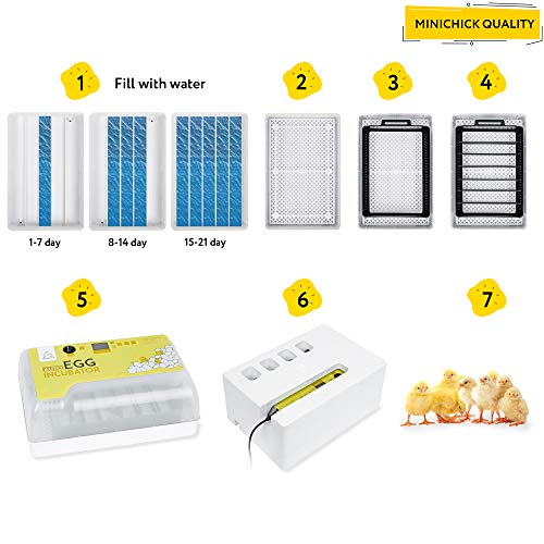 MINICHICK Incubadora de 9-30 Huevos Gallina Automática con Termostato y Pantalla. Control Temperatura y Humedad: Ovoscopio, Criadora Pollitos, Corral, Calendario y Guía Completa en Español (IVA incl.)