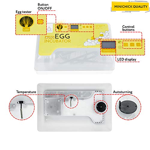 MINICHICK Incubadora de 9-30 Huevos Gallina Automática con Termostato y Pantalla. Control Temperatura y Humedad: Ovoscopio, Criadora Pollitos, Corral, Calendario y Guía Completa en Español (IVA incl.)