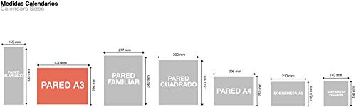 Miquelrius - Calendario de pared 18 meses 2020 2021 - A3 420 x 296 mm con espacio para apuntar