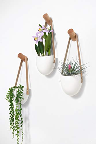 Mkouo cerámica Colgante plantador suculento Aire Planta Maceta decoración de la Pared, Juego de 3