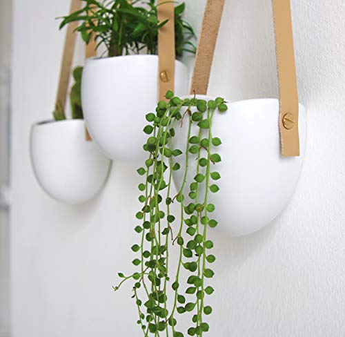 Mkouo cerámica Colgante plantador suculento Aire Planta Maceta decoración de la Pared, Juego de 3