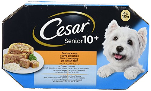 Multipack de 4 tarrinas de 150g para perros senior de +10 años | [Pack de 6]