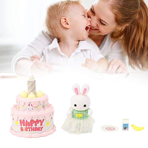 Naroote Lindo, Juguetes de casa de muñecas de Color Brillante, Mini Juguetes de Plato de Pastel, Material ABS, Seguro y no tóxico, Mano de Obra Exquisita, Juguetes de muñecas(6621-8 Birthday Cake)